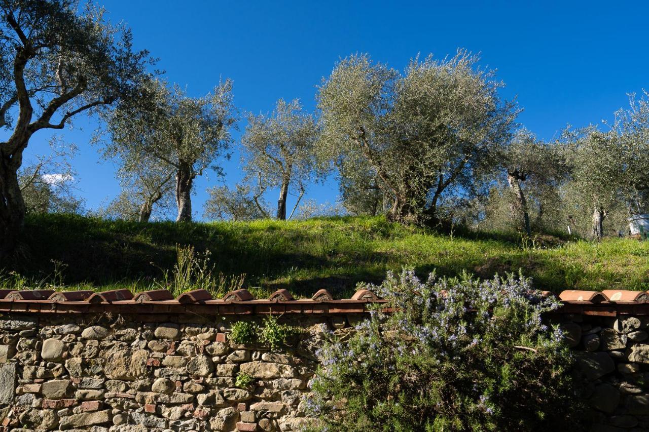 Alloggi In Villa Storica Pescia Exteriér fotografie